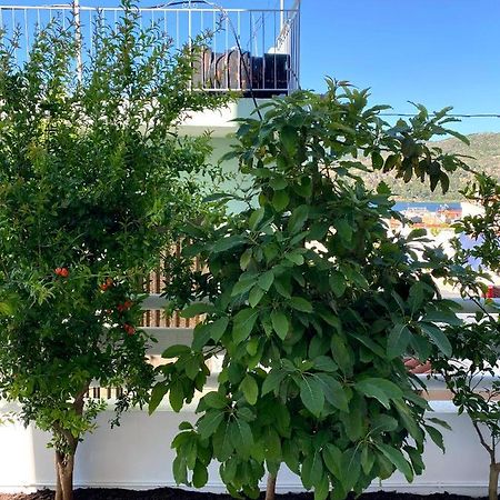 Citrus Apartment Argostoli  Bagian luar foto