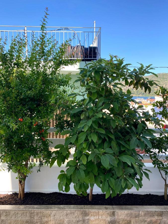 Citrus Apartment Argostoli  Bagian luar foto